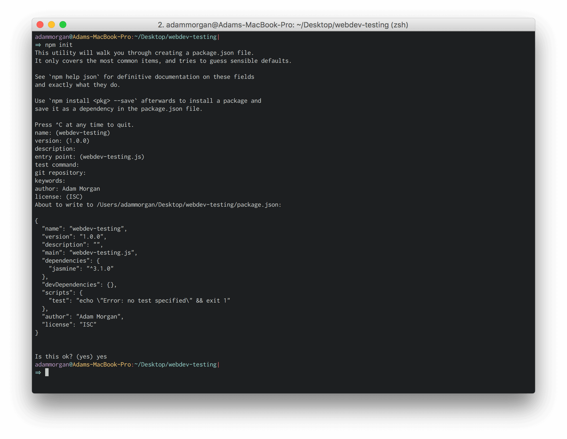 npm init prompt