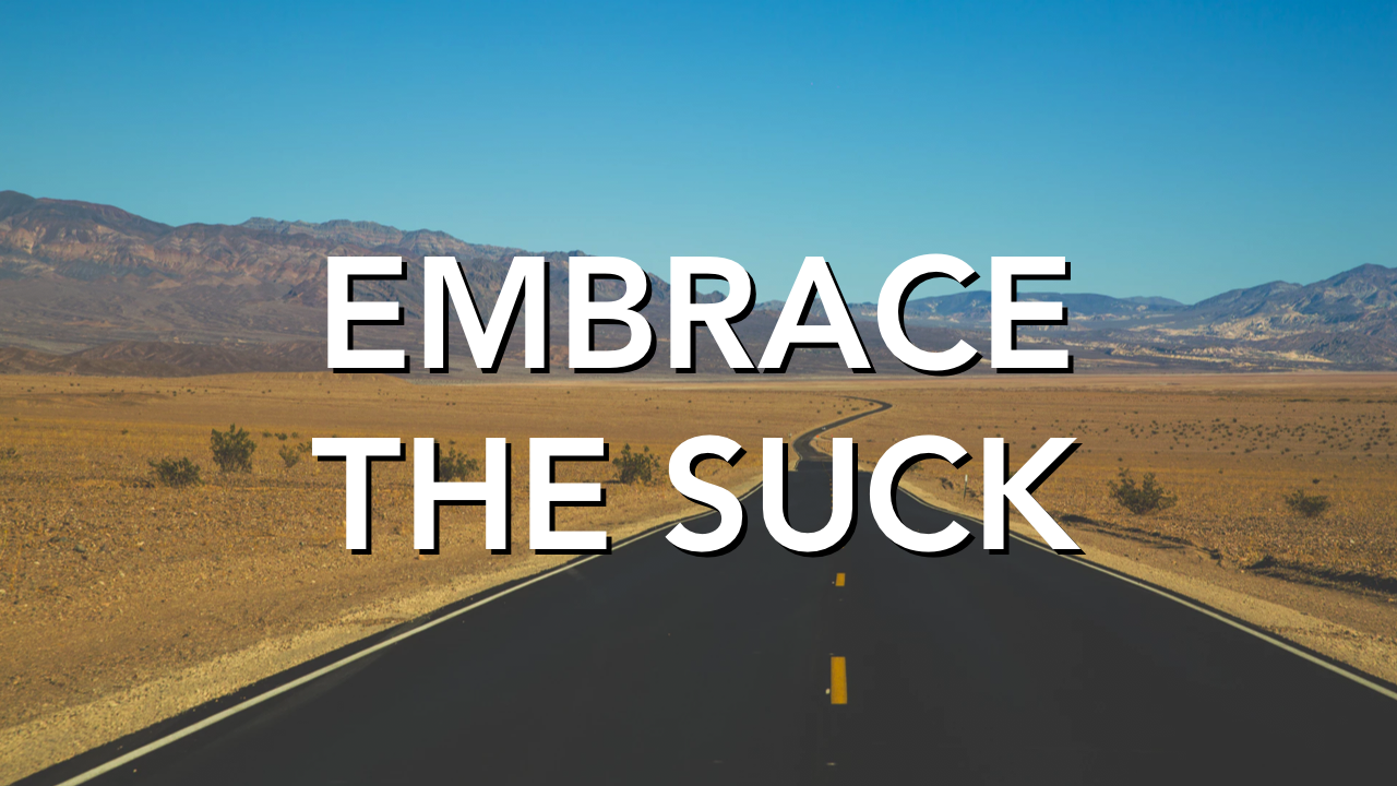 Code Companion #8: Embrace the Suck