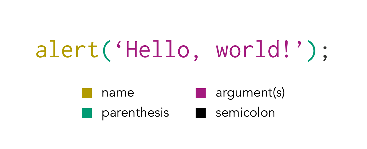 Function anatomy